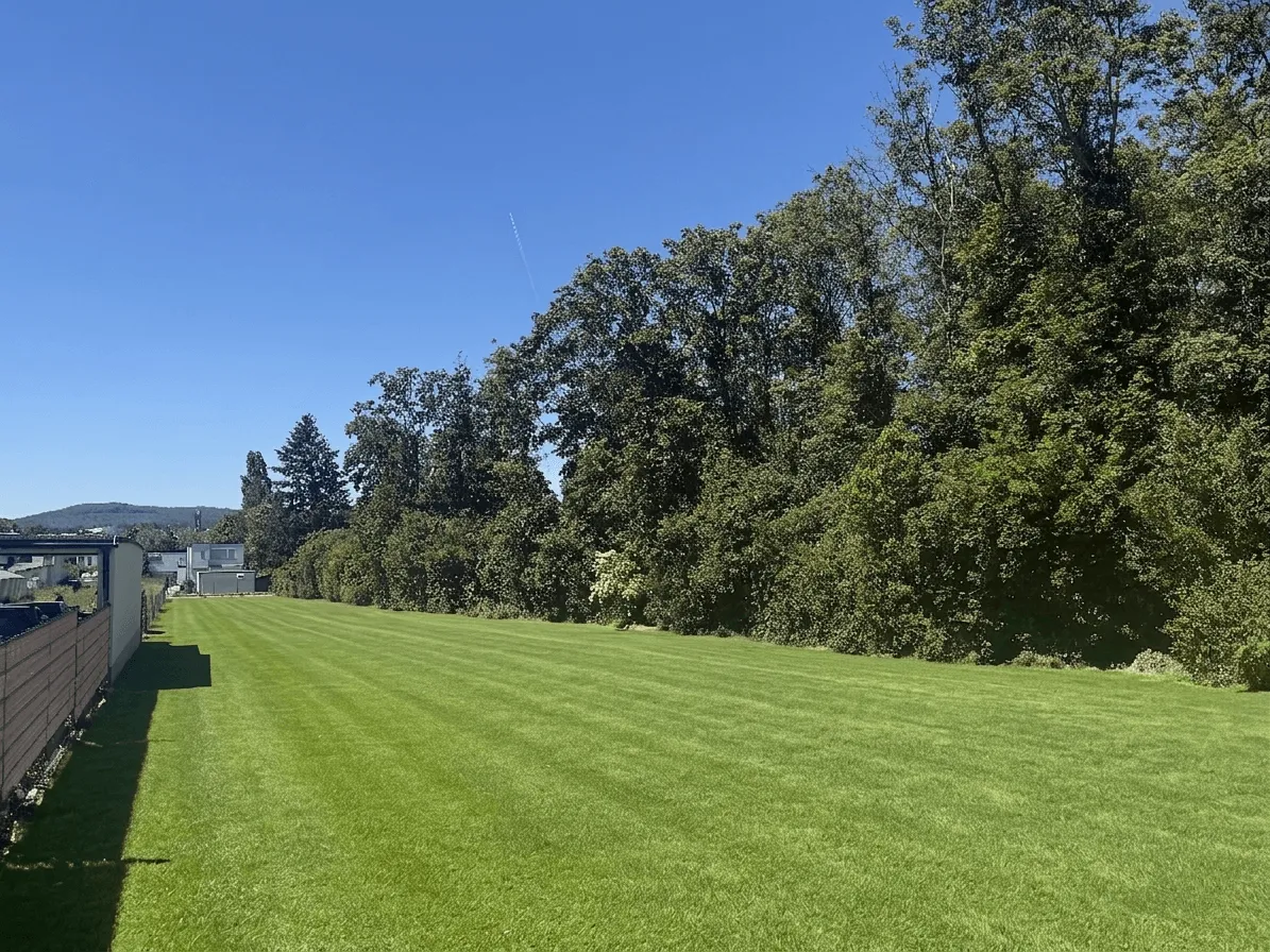 Provisionsfrei - Baugrundstück in Hietzinger Ruhelage - Ansicht 3