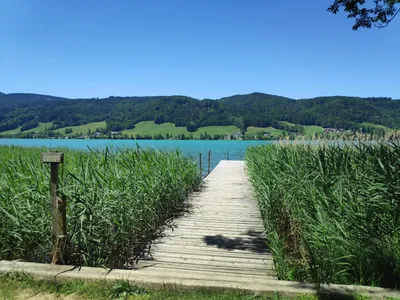 4-Zimmer-Wohnung kaufen in Vöcklabruck – 115 m², € 799.000 – Bild 7 von 34