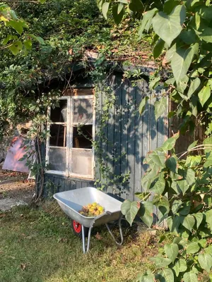 3-Zimmer-Wohnung mieten in Scheibbs – 70 m², € 670 – Bild 7 von 13