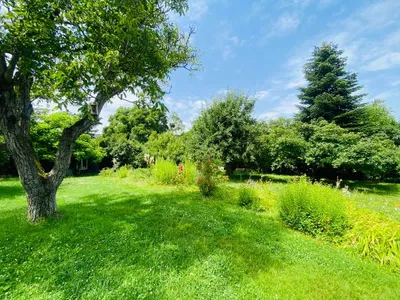 3-Zimmer-Wohnung mieten in Scheibbs – 70 m², € 670 – Bild 5 von 13