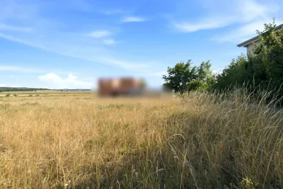 Grundstück kaufen in Korneuburg – 1 467 m², € 387.750 – Bild 10 von 29