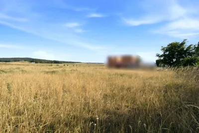 Grundstück kaufen in Korneuburg – 1 467 m², € 387.750 – Bild 8 von 29