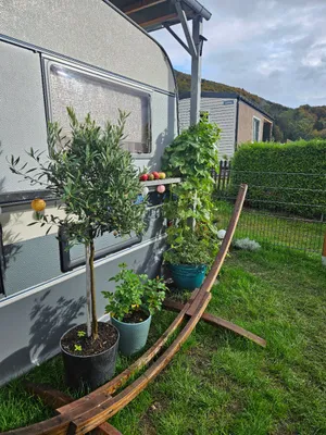 2-Zimmer-Immobilie mieten in Vöcklabruck – 17 m², € 60