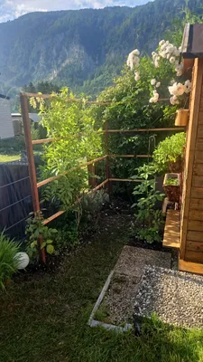2-Zimmer-Immobilie mieten in Vöcklabruck – 17 m², € 60 – Bild 3 von 8
