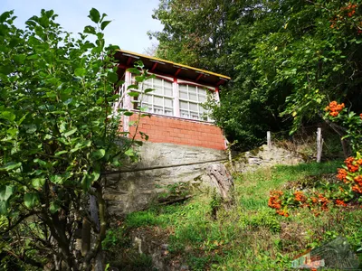 Grundstück kaufen in Horn – 6 294 m², € 269.900 – Bild 11 von 19