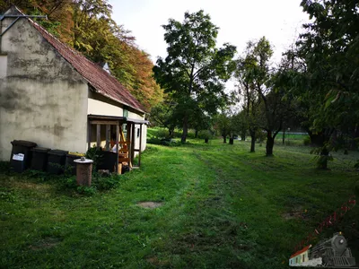 Grundstück kaufen in Horn – 6 294 m², € 269.900 – Bild 7 von 19