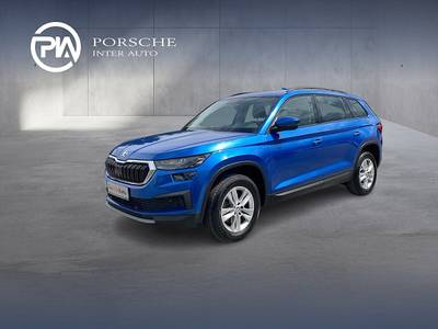 Skoda Kodiaq 4x4 Ambition SC TDI DSG