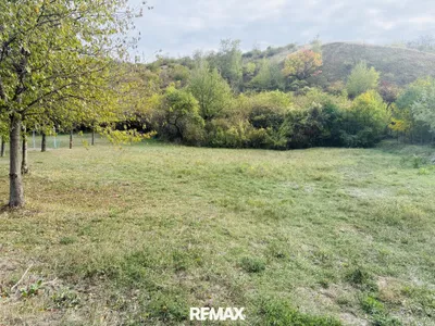 Grundstück kaufen in Neusiedl am See – 2 061 m², € 741.960 – Bild 3 von 6