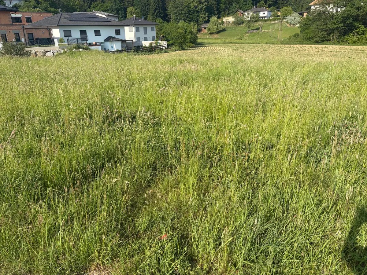 Baugrund in erster Reihe - ruhig & sonnig - Ansicht 2