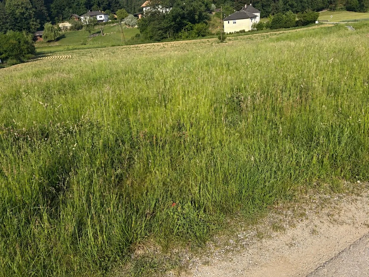 Baugrund in erster Reihe - ruhig & sonnig - Ansicht 3