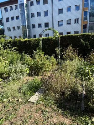3-Zimmer-Wohnung mieten in Linz – 79 m², € 980 – Bild 12 von 12