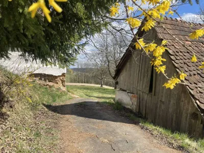 Immobilie kaufen in Südoststeiermark – 10 000 m², € 275.000 – Bild 13 von 20
