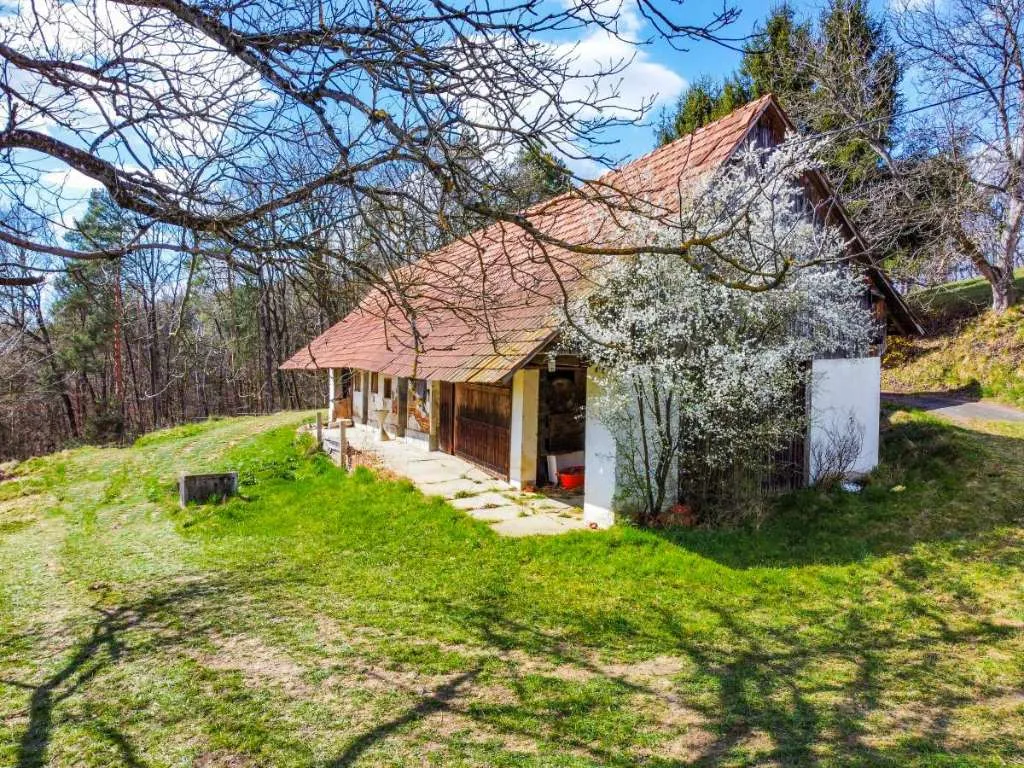 Liegenschaft in einzigartiger Lage in St. Stefan im Rosental ...! – pohled 3