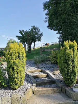 3-Zimmer-Haus mieten in Schärding – 12 345 m², € 12.345 – Bild 2 von 3