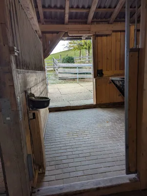 3-Zimmer-Haus mieten in Schärding – 12 345 m², € 12.345 – Bild 3 von 3