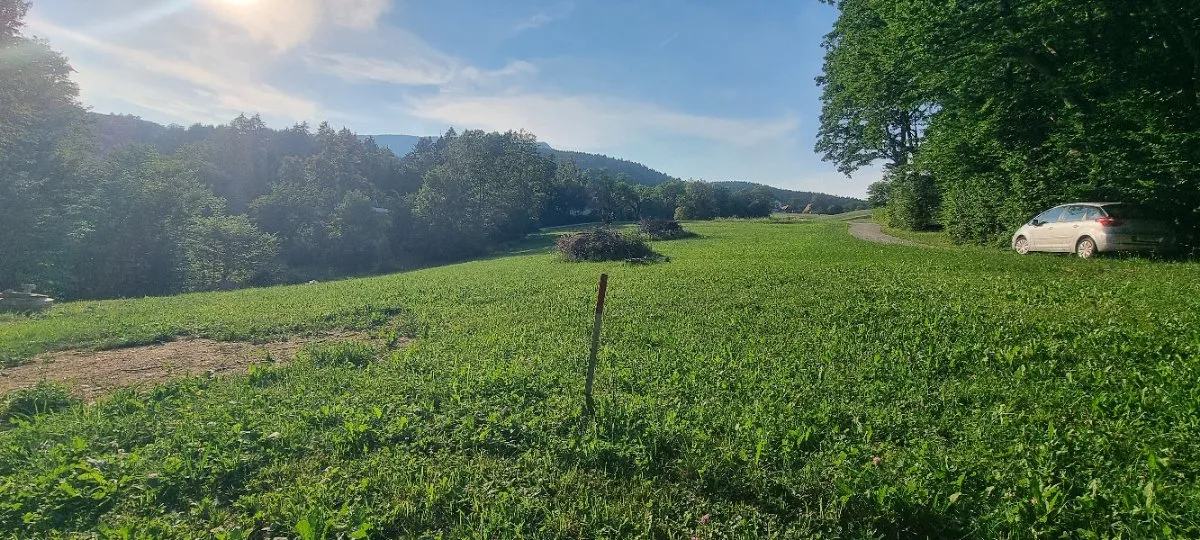 Baugrundstück (Gesamtfläche 4367 m² wovon 1500 m² Bauland*) in absoluter Grün- und Ruhelage! - Ansicht 2