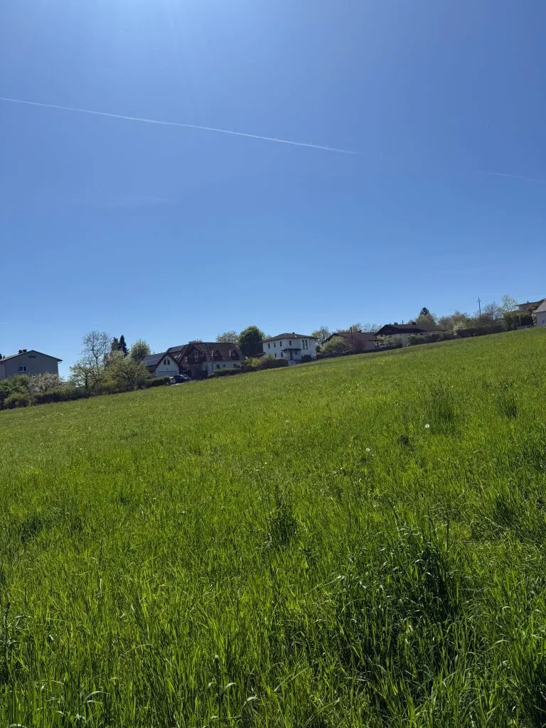DOPPELHÄUSER in ZIMMERMEISTERQUALITÄT (ab 109 m² bis 140 m²) - nachhaltig leben im Marktort Neuhofen an der Krems - Ansicht 3