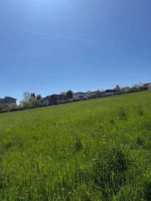 4-Zimmer-Haus kaufen in Linz Land – 109 m², € 443.720 – Bild 4 von 13