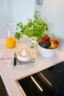 1-Zimmer-Wohnung mieten in Wien – 31 m², € 1.680 – Bild 17 von 40