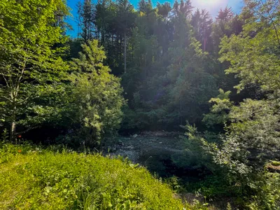 Immobilie kaufen in Gmunden – € 3.200.000 – Bild 26 von 29