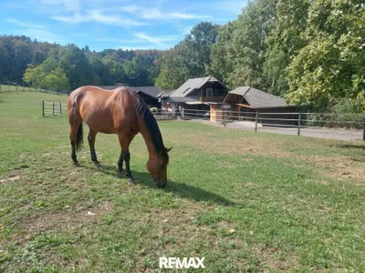 Grundstück kaufen in Güssing – 5 139 m², € 405.000 – Bild 41 von 44