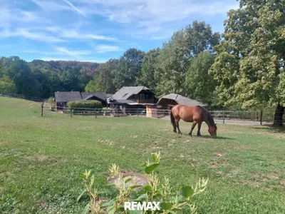 Grundstück kaufen in Güssing – 5 139 m², € 405.000