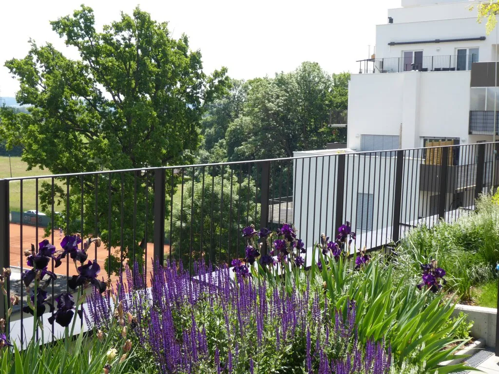 Wohnung – Graz, Brauquartier, Puntigam - Ansicht 2