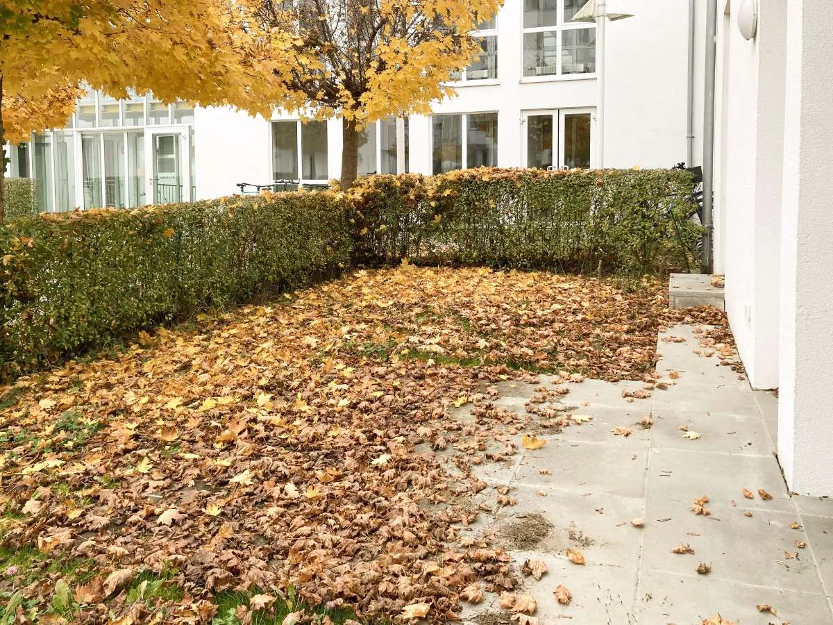 2 Zimmer-Wohnung | Erdgeschoss mit 39m² Garten | Linz-Urfahr – pohled 2