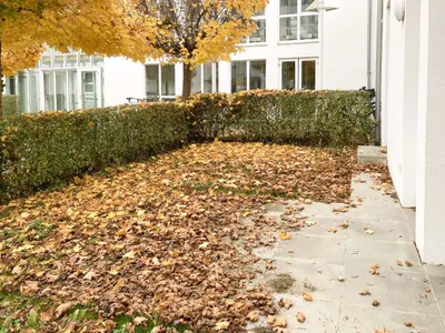 2-Zimmer-Wohnung mieten in Linz – 43,15 m², € 884 – Bild 2 von 36