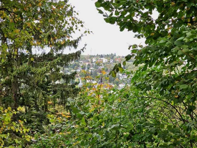 5-Zimmer-Haus kaufen in Tulln – 120,05 m², € 950.000 – Bild 23 von 23