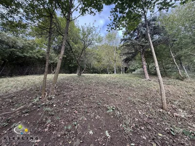 Haus kaufen in Mödling – 1 422 m², € 245.000 – Bild 29 von 35