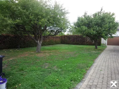 5-Zimmer-Haus mieten in Eisenstadt - Umgebung – 140 m², € 1.300 – Bild 3 von 14