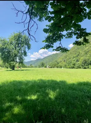 Gewerbeimmobilie kaufen in Rohrbach – 500 m², € 430.000 – Bild 5 von 21