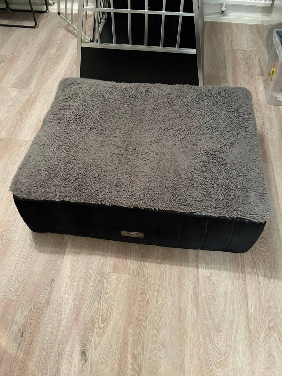 Dogstyler - Orthopdisches Hundebett,  190,- (4020 Linz) - willhaben