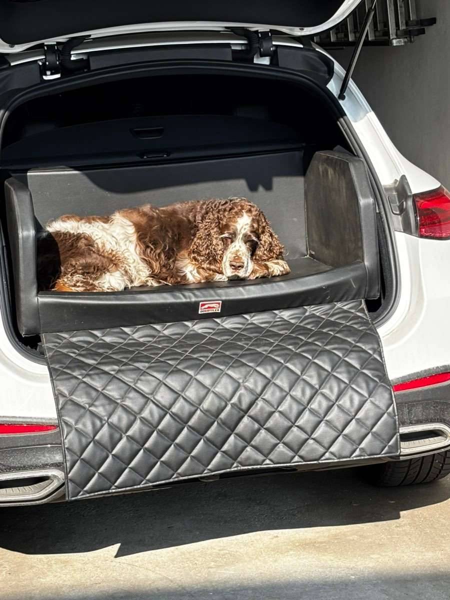 Komfortables Hundebett zum Transport im Auto, perfekter Bordkantenschutz,  Gurtsystem,  45,- (4490 Sankt Florian) - willhaben