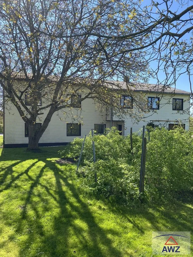 Älteres Haus mit ca. 1150 m² großem Grundstück! - Ansicht 3