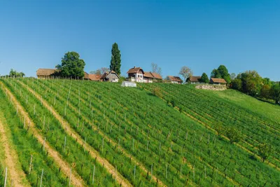 Grundstück kaufen in Österreich – 110 m², € 339.000 – Bild 9 von 33