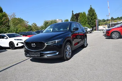 Mazda CX-5 G165 AWD Takumi Aut. **8 Fach Bereift, AHK**