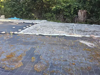 Immobilie mieten in Graz – 870 m², € 1.305 – Bild 2 von 3