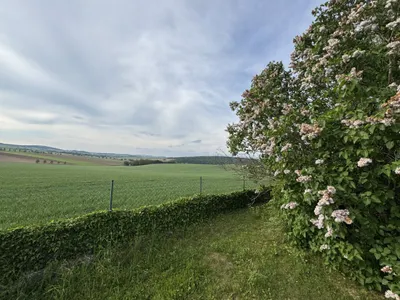 5-Zimmer-Haus kaufen in Korneuburg – 160 m², € 449.000 – Bild 23 von 31