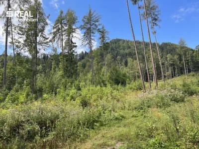 Grundstück kaufen in Liezen – 73 417 m², € 215.000 – Bild 3 von 11