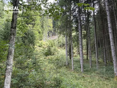 Grundstück kaufen in Liezen – 73 417 m², € 215.000 – Bild 8 von 11