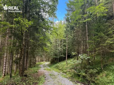 Grundstück kaufen in Liezen – 73 417 m², € 215.000 – Bild 4 von 11