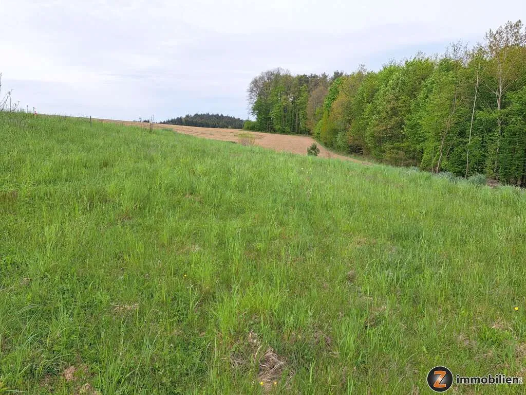 Holzschlag: Baugrundstück mit kleinem Wald in Traumlage! - Ansicht 2