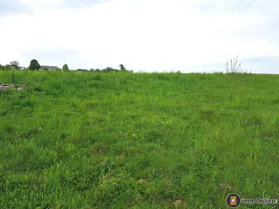 Grundstück kaufen in Oberwart – 3 222 m², € 99.000 – Bild 4 von 5