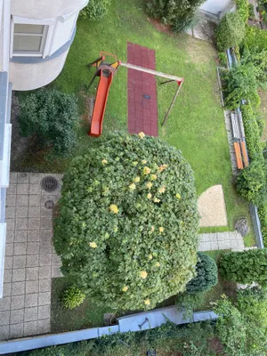 3-Zimmer-Wohnung mieten in Wien – 90 m², € 1.312 – Bild 7 von 15