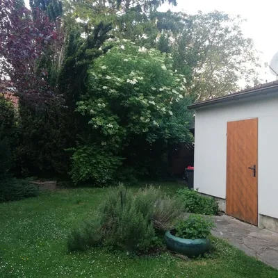 6-Zimmer-Haus kaufen in Wiener Neustadt – 142 m², € 495.000 – Bild 5 von 16
