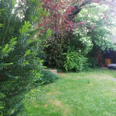 6-Zimmer-Haus kaufen in Wiener Neustadt – 142 m², € 495.000 – Bild 6 von 16