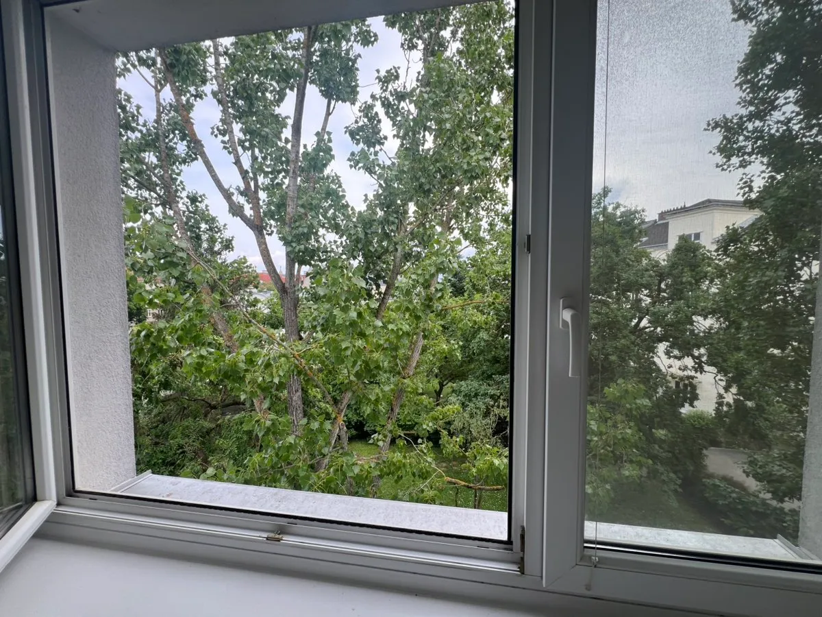 4-Zimmer-Wohnung in Hietzing - frisch renoviert, ruhig & grün - Ansicht 2