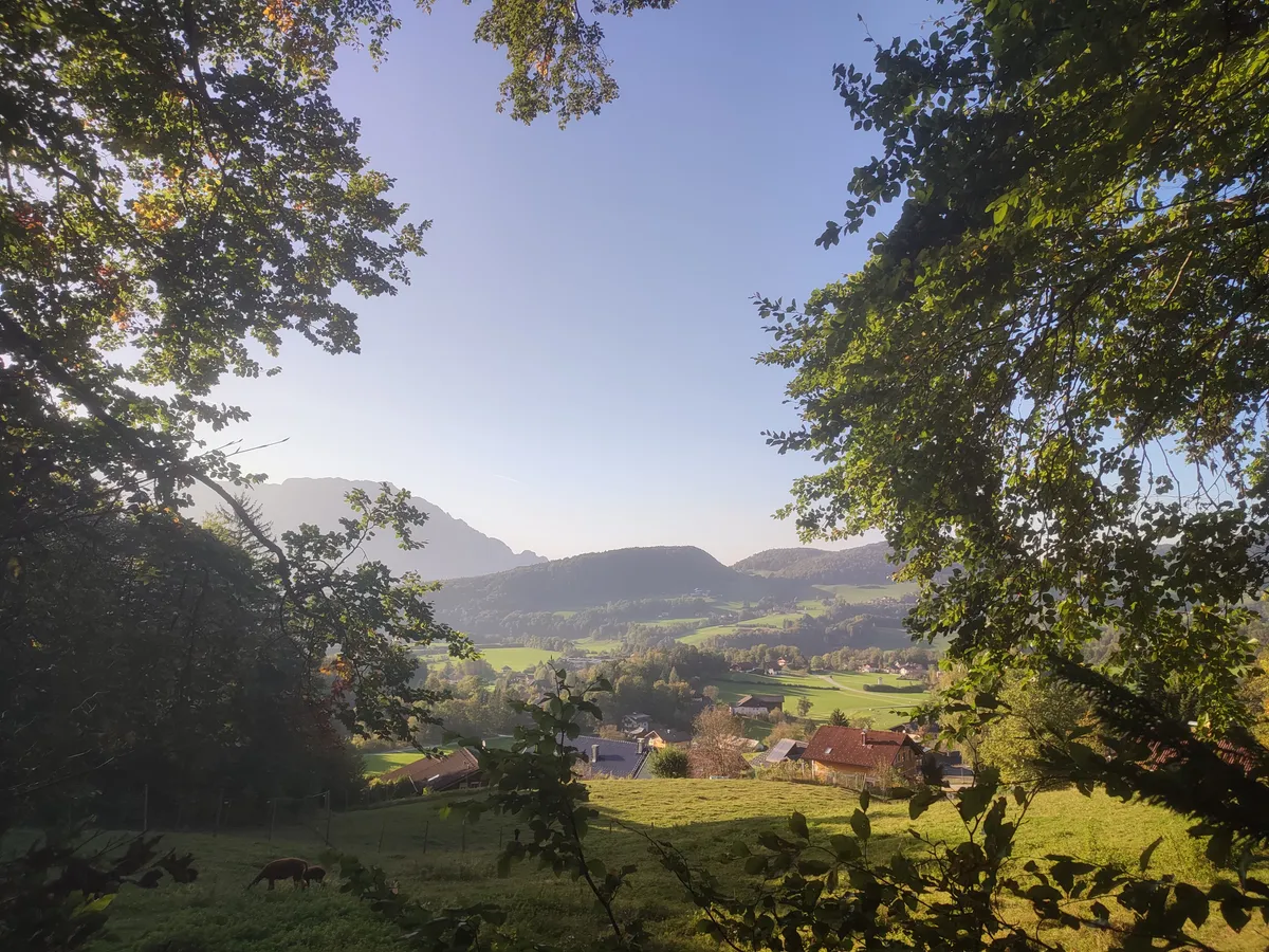 802 m² Waldgrundstück in Adnet/ Wimberg - attraktive Lage im Dauersiedlungsraum